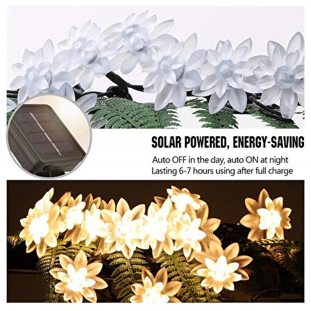 Solar 7 Metre 50 LED Papatya Günışığı Renk Dış Mekan Işıkları, Güneş Enerjili Dekoratif  LED Işıklar