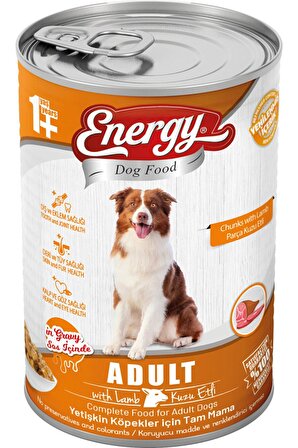 Energy Pet Food Energy Kuzu Etli Yetişkin Islak Köpek Konserve Maması 400 Gram 4 Adet