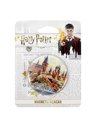 Harry Potter Şato Magnetli Metal Açacak