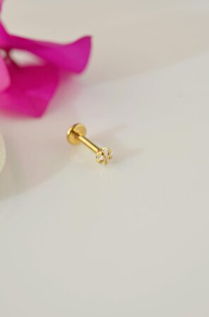 Gold Çelik Yıldız Piercing 6 mm Tragus Helix Kıkırdak Conch