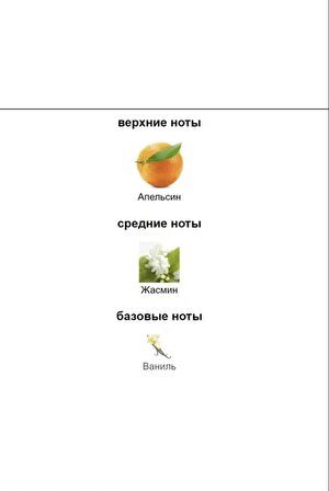 Zielinski & Rozen Diffuser Orange , Jasmine , Vanilla 212,5 Ml ( Ambians , Oda Kokusu