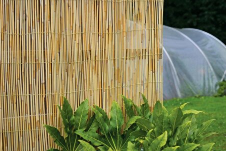  Bambu Çit Kamış Çit 3 Adet 2,5x5 Metre Hasır Çit Eni 2,5 Metre Uzunluk 5 Metre Rulo Bahçe Çiti