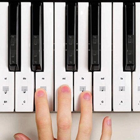 Piyano Org Klavye Tuşları Için Nota Sticker Etiketi Aksesuarı 37-49-54-61-88 Tuşlara Uygun