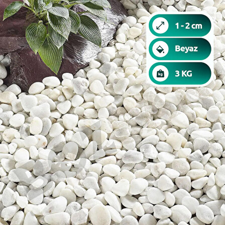 Beyaz Taş 1-3cm Dolomit Taşı Bahçe Süs Akvaryum Taşı Dere Çakıl Taşı 3 Kg