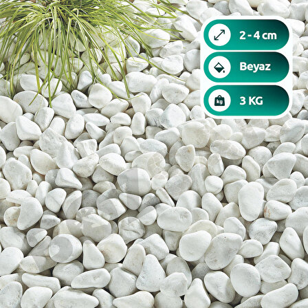 Beyaz Taş 2-4cm Dolomit Taşı Bahçe Süs Akvaryum Taşı Dere Çakıl Taşı 3 Kg