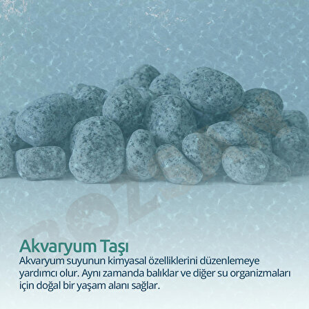 Granit Taş 2-4cm Dolomit Taşı Bahçe Süs Akvaryum Taşı Dere Çakıl Taşı 3 Kg