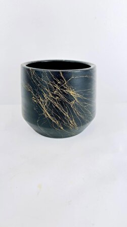 Bitki Tasarımı Siyah Üzeri Gold Keskin Hatlı Toprak Saksı Saksılık 15 cm