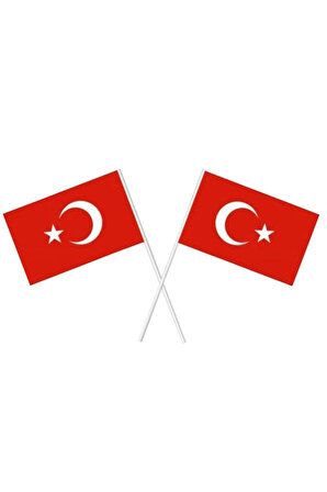Küçük Boy Çıtalı Bayrak Türk Bayraklı Çıtalı Bayrak - 10 Adet