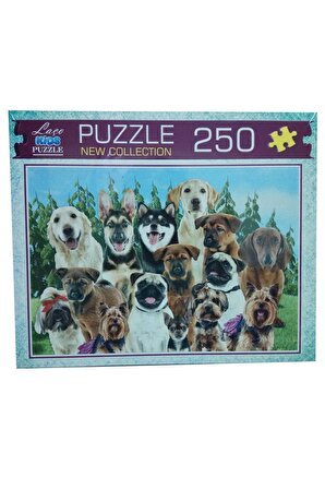 Hayal Sepeti Sevimli Köpekler 8+ Yaş Orta Boy Puzzle 250 Parça
