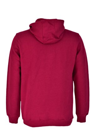 Erkek Kapüşonlu Basic Sweatshirt R2248 BGL-ST03192