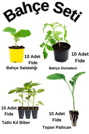 Bahçe Seti 10 Adet Salatalık+ 10 Adet Salkım Domates+10 Adet Acı Kıl Biber Fidesi