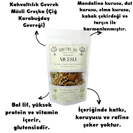 MÜSLİ GREÇKA KAHVALTILIK GEVREK ÇİĞ KARABUĞDAY KURU MEYVELİ KABAK ÇEKİRDEKLİ MANDALİNA & DUT & ELMA KURUSU 100GR