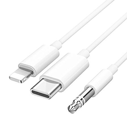 3.5 Mm Aux Dönüştürücü Kablo Type-C Lightning For iPhone iPad 2 in 1 Çevirici