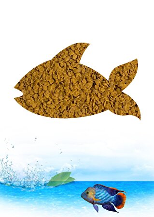 Ciklet Balığı Yemi ( Natural ) 50 Gram