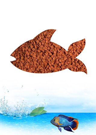 Etçil Balık - Ciklet Balığı Yemi ( Granulat) 50 Gram