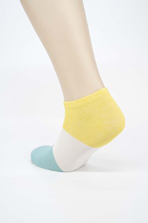 Kadın Parçalı Çok Renkli Pamuklu Kısa Patik Çorap 5'li