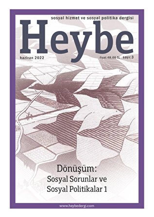 HEYBE: Sosyal Hizmet ve Sosyal Politika Dergisi 3.Sayı
