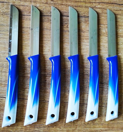 Solingen Meyve Bıçağı Seti 6'lı Beyaz - Mavi 