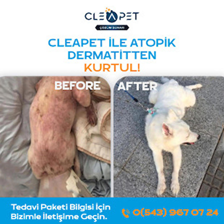 Cleapet Deri Ve Tüy Bakım Havlusu 2li Paket