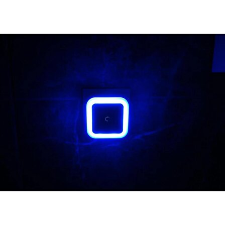 Tlg Store Cata Sensörlü Fişli Gece Lambası Led Mavi Işık Fotoselli Otomatik Yanan
