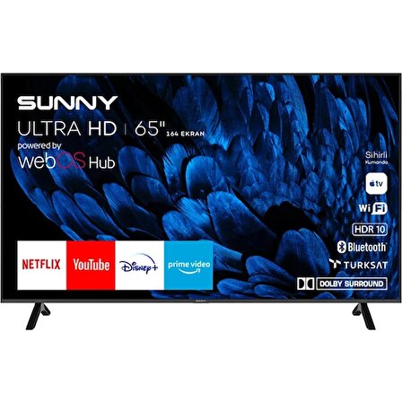 Sunny SN65FMN252 Frameless 4K Ultra HD 65" 165 Ekran Uydu Alıcılı webOS Smart LED TV