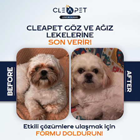 Cleapet Exclusıve Seri Nano 30'lu Mendil