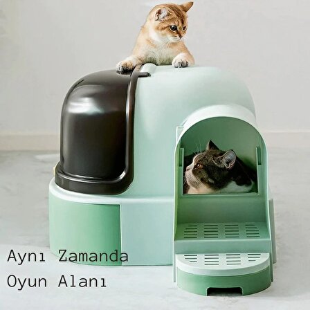 TechTic Star Tüneli Çekmeceli Kedi Tuvaleti Kürek Hediyeli Kedi Kum Kabı Yeşil