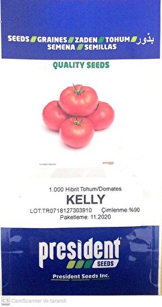 Kelly F1 (Hibrit Sırık Domates Tohumu)(1000 adet) Beef Domates