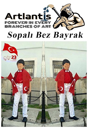 Sopalı Bez Bayrak 20x30 Cm 1 Adet Saplı Bayrak Ay Yıldız Plastik Çıtalı 20*30 Bez Bayrak Mill Bayram Kutlama