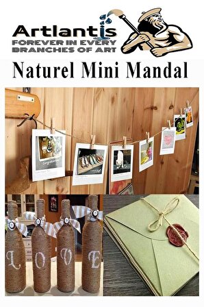 Naturel Mini Mandal Ahşap 50 Adet Renksiz Minik Mandal Dekoratif Süsleme Fotoğraf Asma Mandalı Dekarasyon