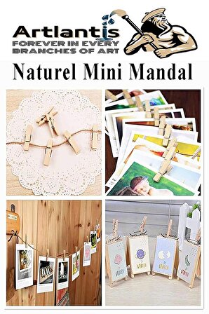 Naturel Mini Mandal Ahşap 100 Adet Renksiz Minik Mandal Dekoratif Süsleme Fotoğraf Asma Mandalı Dekarasyon