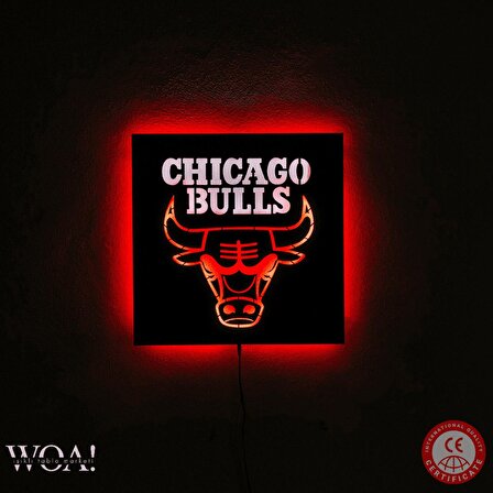 Işıklı Chicago Bulls Tablo