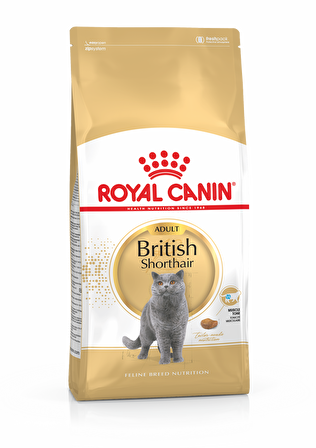 Royal Canin Adult British Shorthair Kedi Maması 10 Kg