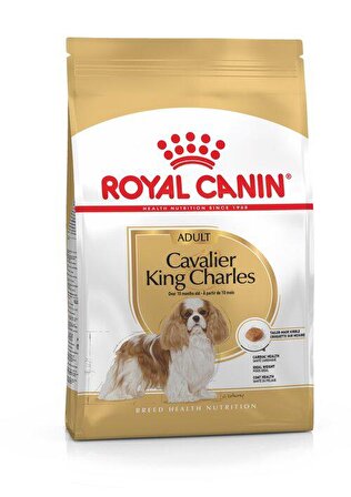 Royal Canin Kümes Hayvanlı King Charles Irkı Yetişkin Kuru Köpek Maması 3 kg