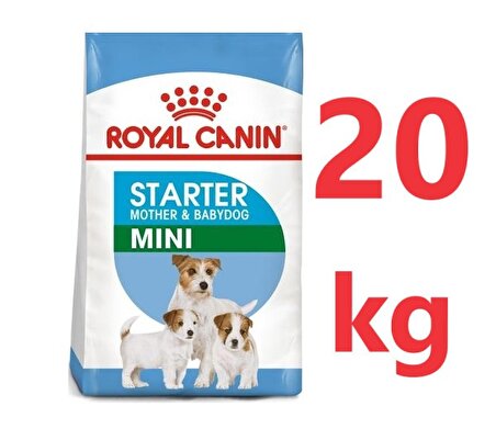 Royal Canin Mini Starter Küçük Irk Yavru Köpek Maması 20 KG