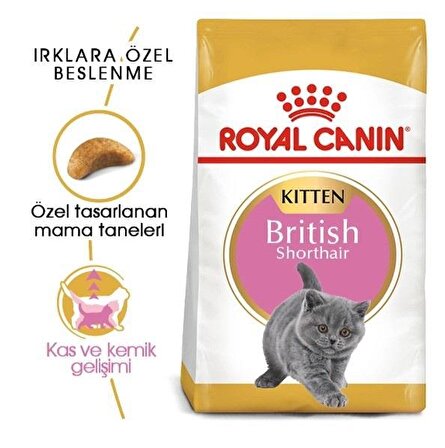 Royal Canin Kitten British Shorthair Yavru Kedi Maması 2 Kg