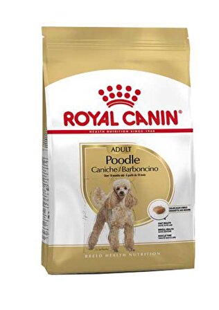 Royal Canin Poodle Adult 3 kg Yetişkin Köpek Maması