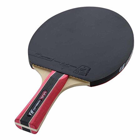 Cornilleau Sport 300 ITTF Onaylı Masa Tenisi Raketi