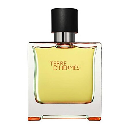 Hermes Terre D'Hermes EDT Çiçeksi Erkek Parfüm 100 ml  