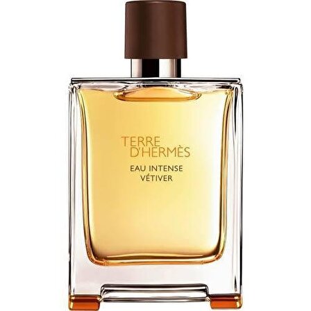 Hermes Terre D'Hermes EDP Çiçeksi Erkek Parfüm 100 ml  