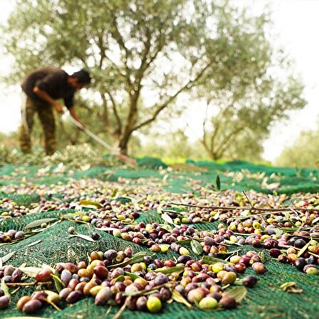 3X4 METRE ZEYTİN SERGİSİ ZEYTİN TOPLAMA FİLESİ FINDIK FISTIK ÖRTÜSÜ GÖLGELİK DUT MEYVE SERGİSİ TABAN ÖRTÜSÜ