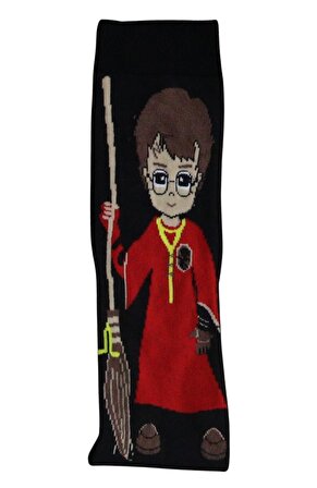 2'li Harry Potter Desenli Renkli Çorap Seti
