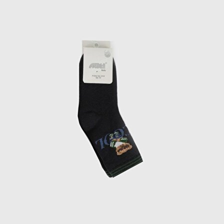Artı Kids Coolbe Erkek Havlu Soket Çorap 250181