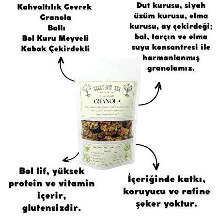 GRANOLA KAHVALTILIK GEVREK KURU MEYVELİ AY ÇEKİRDEKLİ DUT ÜZÜM ELMA VE BAL TARÇIN GLUTENSİZ 100GR