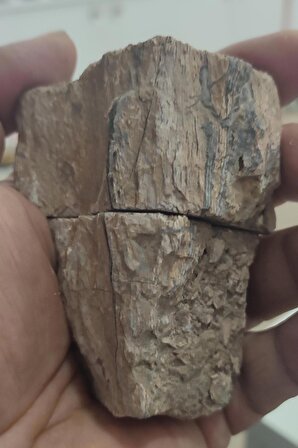 Ağaç Fosili Çift Agat Koleksiyonluk Çift 209 Gr