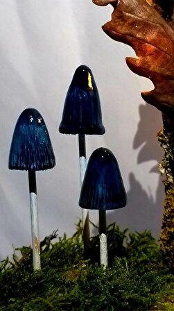 Gaın Dıorama Mushrooms Parrot Waxcap Fanus