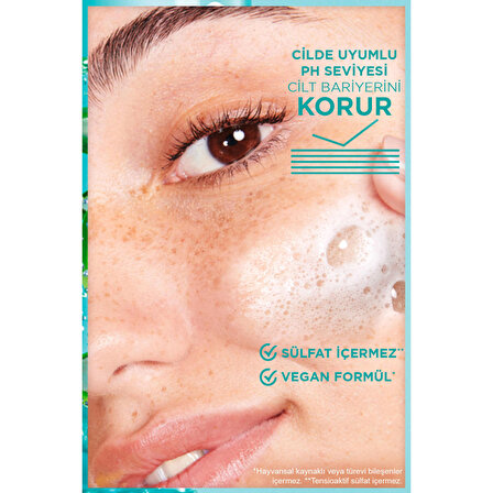 Garnier Hyaluronik Aloe Nemlendiren ve Yatıştıran Temizleyici 250 ML