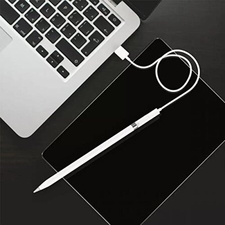 Coofbe Led Işıklı Apple Pen Şarj Dönüştürücü Lightning to Type-C Dönüştürücü Apple Pencil Kalem Şarj Adaptörü( Apple Uyumludur.)