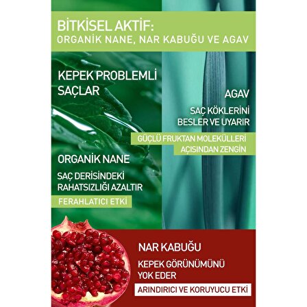 Yves Rocher Kepeğe Karşı (Anti Pelliculaire) Yatıştırıcı Prebiyotik Şampuan - Sülfatsız & Tuzsuz & Vegan-300 ml