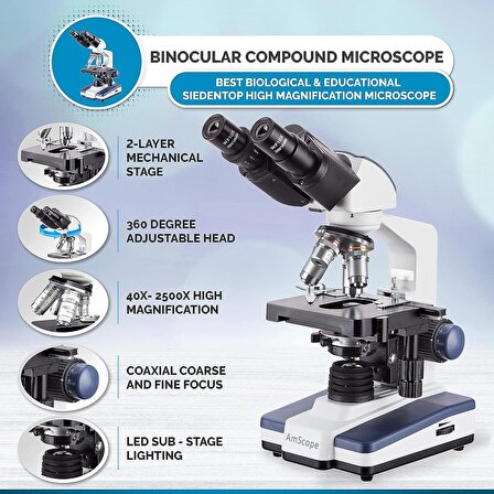 AmScope B120 Siedentopf Binoküler Bileşik Mikroskop